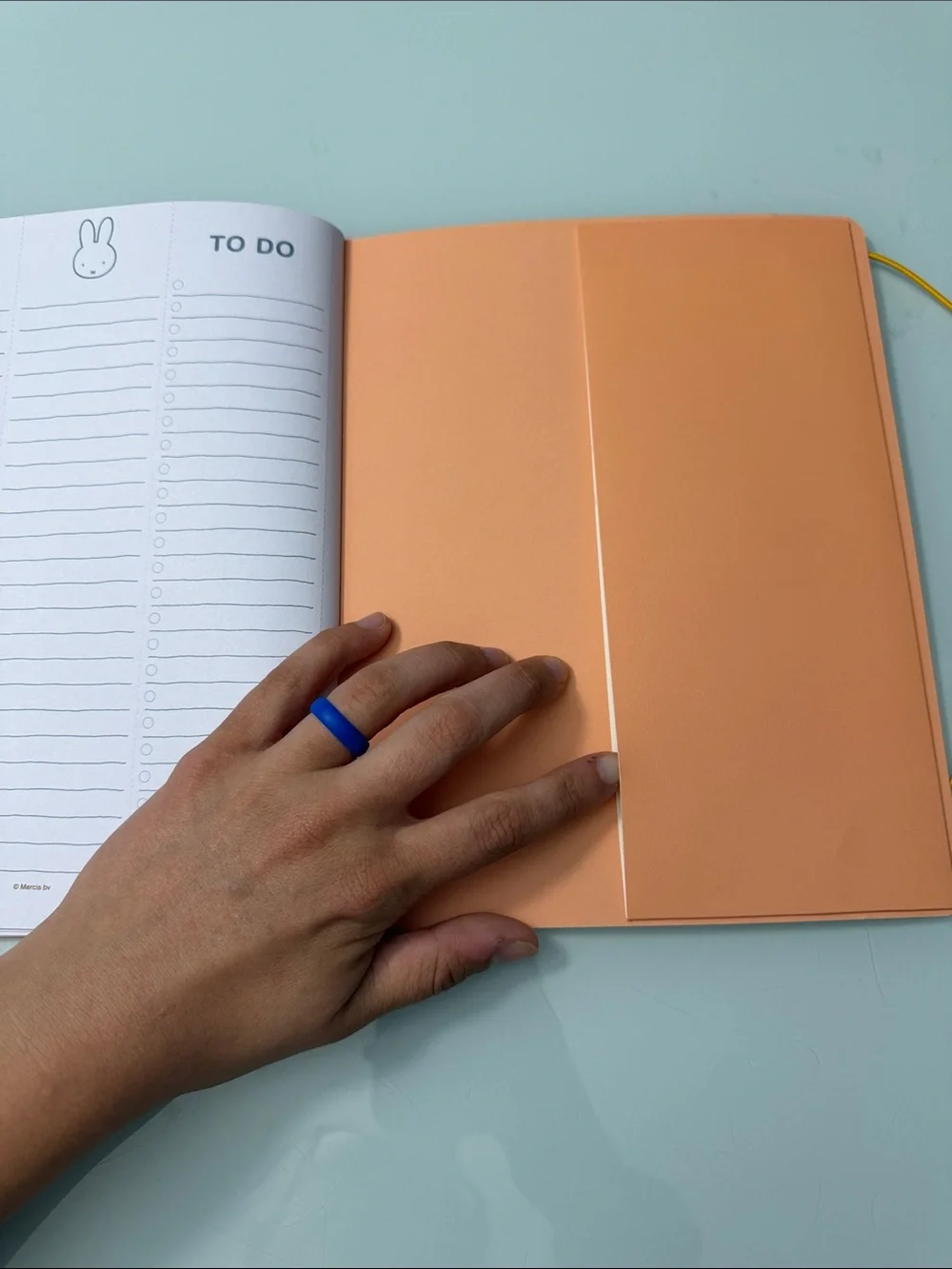miffy this planner